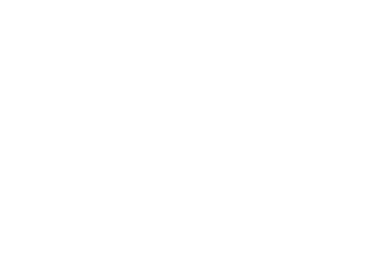 trio logo final white